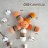 Scheepjes Catona Chroma_